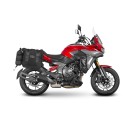 3P SYSTEM FIJACION LATERAL CYCLONE RX6/RX 650