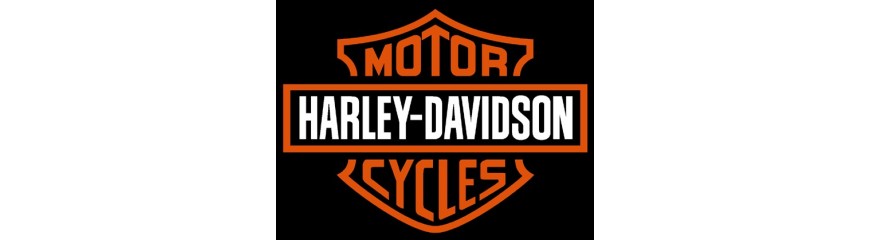 Control de crucero integrado en motos Harley Davidson.