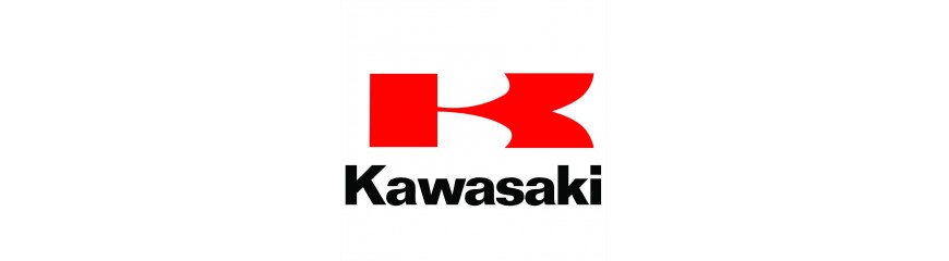 Portamatriculas PUIG para motos Kawasaki