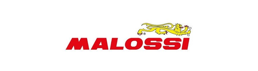 Malossi