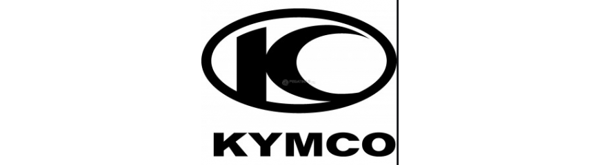 Todos los productos del fabricante Polini para la marca de motos Kymco