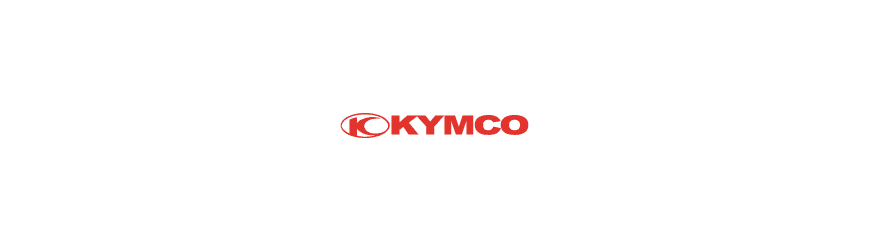 Kymco X Citing 400 (2012-2015)