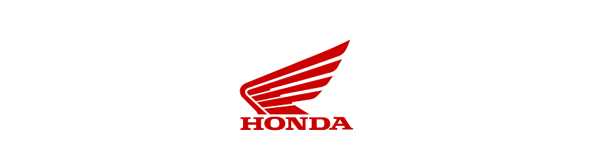 Honda Forza 300 ie